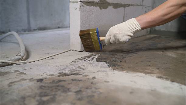 Top rated local Interior Drainage System specialists in Andale, KS